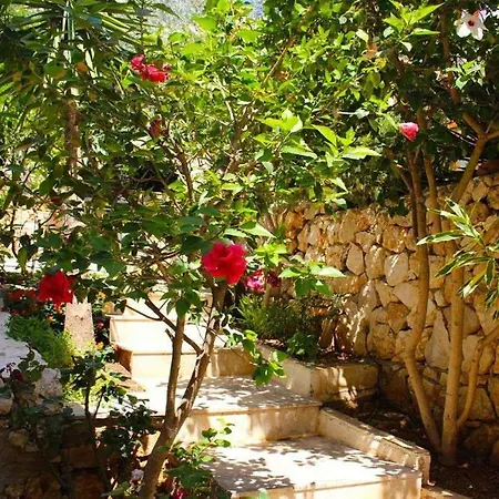 Rosa Kalkan