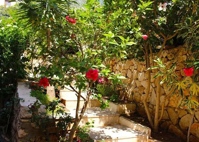 Rosa Kalkan