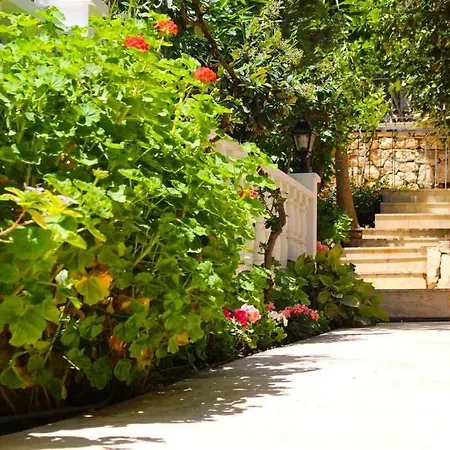 Rosa Kalkan * Каш